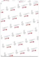 Бумага Xerox Colotech + Gloss (280) A3 250 л 003R90352