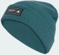 Шапка Adidas ESS BEANIE CUFF JY3078 р.OSFM зеленый
