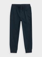 Брюки 4F TROUSERS CAS M133 4FJSS23TTROM133-31S р. 146 синий