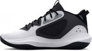 Кроссовки мужские демисезонные Under Armour UA LOCKDOWN 6 3025616-101 р.41