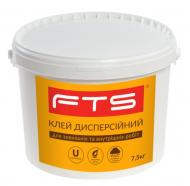 Клей монтажний FTS дисперсійний графіт 4,5 кг