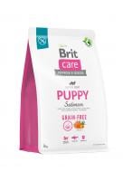 Корм сухий беззерновий для усіх порід Brit Care Grain-free Puppy з лососем 3 кг