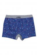 Трусики-боксеры для мальчиков KOSTA р.110–116 синий 2461-5