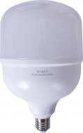 Лампа светодиодная E.NEXT e.LED.lamp.stand.HP.E27.50.6500 50 Вт E27 230 В 6500 К l0650818