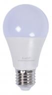 Лампа светодиодная E.NEXT e.LED.lamp.stand.A60.E27.10.6500 10 Вт A60 E27 230 В 6500 К l0650804