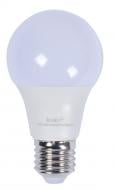 Лампа светодиодная E.NEXT e.LED.lamp.stand.A60.E27.7.6500 7 Вт A60 E27 230 В 6500 К l0650802 Лампа светодиодная E.NEXT e.LED.lamp.stand.A60.E27.7.6500 7 Вт A60 E27 230 В 6500 К l0650802