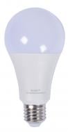 Лампа светодиодная E.NEXT e.LED.lamp.stand.A70.E27.15.6500 15 Вт A70 E27 230 В 6500 К l0650808 Лампа светодиодная E.NEXT e.LED.lamp.stand.A70.E27.15.6500 15 Вт A70 E27 230 В 6500 К l0650808