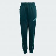 Брюки Adidas J Z.N.E. PT JW2430 р. 11-12YRS зеленый