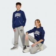 Брюки Adidas J CLGT FL PNT JW2386 р. 11-12YRS серый