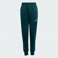 Брюки Adidas J Z.N.E. PT JW2430 р. 15-16YRS зеленый