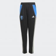 Штани Adidas JB TR PNT Y JX3962 р. 13-14YRS чорний