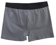 Трусы для мальчиков KOSTA р.146–152 серый 2567-4