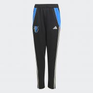 Брюки Adidas JB TR PNT Y JX3962 р. 5-6YRS черный