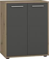 Тумба напольная Грейд Рени 2д 600x750x359 мм дуб крафт золотой/графит серый