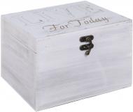 Скринька Live SH72308-M 28х18х18 см