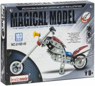 Конструктор Magical Model Build and play C479602