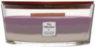 Свеча ароматическая Woodwick Ellipse Trilogy Amethyst Sky 453 г