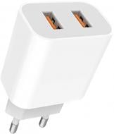 Мережевий зарядний пристрій Denmen DC05 2xUSB Type-A 2.4A White (6973224871944)