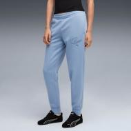 Брюки Puma ESS SCRIPT Sweatpants FL cl 68807434 р. L синий