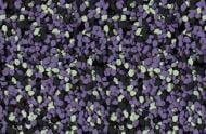 Мозаїчна штукатурка Siltek Decor Silicon Mosaic 4015 25 кг