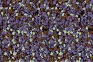 Мозаичная штукатурка Siltek Decor Silicon Mosaic 4019 25 кг