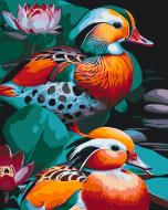 Картина за номерами Качки мандаринки 11717-AC 40х50 см ART CRAFT