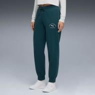 Брюки Puma PUMA CLASS Comfort Sweatpants FL cl 68813675 р. M зеленый
