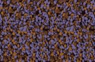 Мозаичная штукатурка Siltek Decor Silicon Mosaic 4058 25 кг