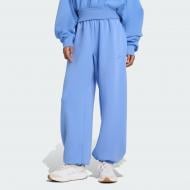Брюки Adidas W ALL SZN SL PT JV9898 р. M синий