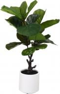 Композиция искусственная фикус в белом пластиковом горшке REAL TOUCH 75 см Inari