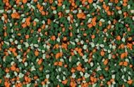 Мозаїчна штукатурка Siltek Decor Silicon Mosaic 4084 25 кг