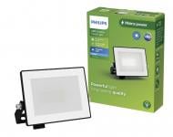 Прожектор світлодіодний Philips Lois flood 10 Вт IP65 білий 929004641501