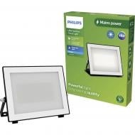 Прожектор світлодіодний Philips Lois flood 50 Вт IP65 білий 929004642101