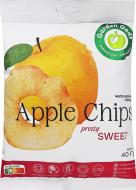 Чипсы фруктовые ТМ GARDEN GADZ яблочные сладкие 40 г