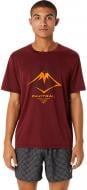 Футболка Asics FUJITRAIL LOGO SS TOP 2011C381-600 р.L красный