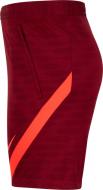 Шорты Nike LFC MNK DF STRK SHORT KZ DB0271-677 р. S красный