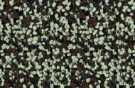 Мозаичная штукатурка Siltek Decor Silicon Mosaic 4182 25 кг