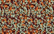 Мозаичная штукатурка Siltek Decor Silicon Mosaic 4185 25 кг