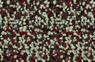 Мозаичная штукатурка Siltek Decor Silicon Mosaic 4187 25 кг