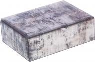 Скриня Urban 20.5х15х7 см сіра Inari