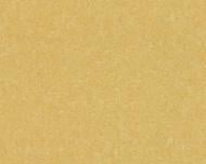 Обои виниловые на флизелиновой основе A.S. Creation Versace 4 93582-3 0,7x10,05 м