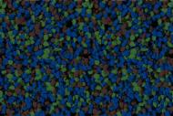 Мозаичная штукатурка Siltek Decor Silicon Mosaic 4218 25 кг