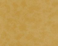 Обои виниловые на флизелиновой основе A.S. Creation Versace 4 93591-3 0,7x10,05 м