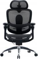 Крісло офісне Sihoo DORO C300 PRO V2 Black чорний