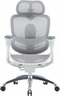 Крісло офісне Sihoo DORO C300 PRO V2 White білий