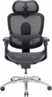 Кресло офисное Sihoo DORO C300 LITE V2 Black черный Кресло офисное Sihoo DORO C300 LITE V2 Black черный
