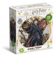 Пазл DoDo Easy-M Harry Potter. Династія чарівників. Гаррі, 250 елементів 200495