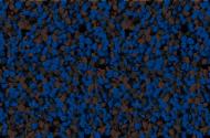 Мозаичная штукатурка Siltek Decor Silicon Mosaic 4248 25 кг