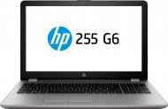 Ноутбук HP 255 G6 15.6" (1XN66EA) silver