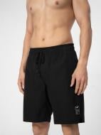 Шорты 4F 4FSS23UBDSM031-20S р. L черный